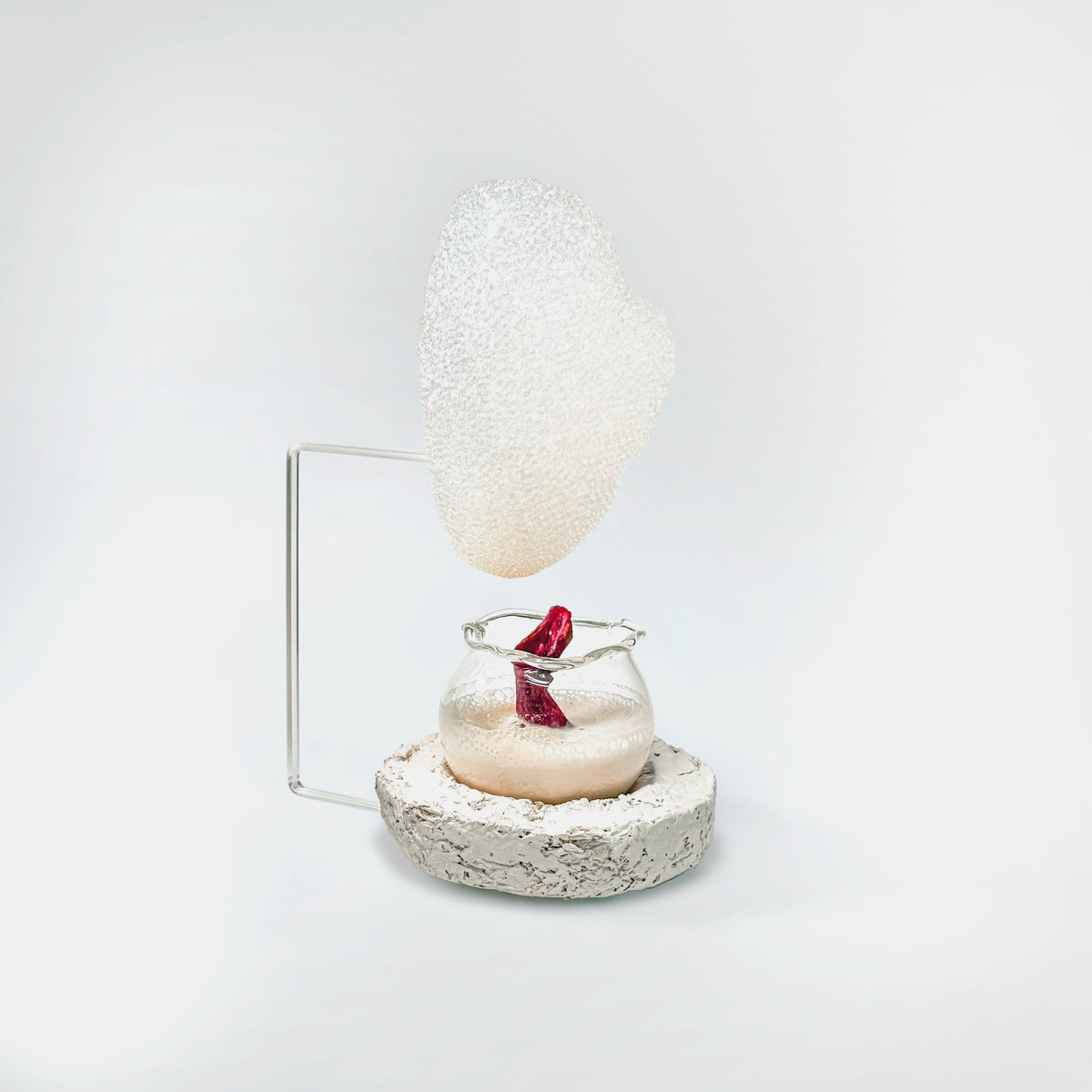Food Holders Transparent - Plat Institute